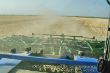 New Holland TJ425_04.jpg