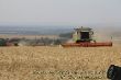 Claas Lexion 770 TerraTrac_10.JPG