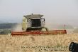 Claas Lexion 770 TerraTrac_11.JPG