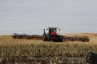Case Steiger 535 HD Seed Hawk 02.JPG