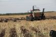 Case Steiger 535 HD Seed Hawk 07.JPG