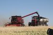 Case Ih 8120_04.JPG