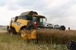 06_New Holland CX 880 im Raps.jpg
