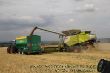 01_Claas Lexion 770 im Getreide.jpg