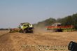 Claas Lexion 780_05.jpg