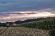 Krone BigX 1100_25.JPG