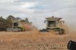 Claas Lexion mit Pressen 2.JPG