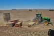 John Deere 8000 mit Sammelwagen.JPG