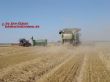 2 Mal Lexion 600 mit 9m Schneidwerken.jpg