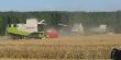 4 Drei Lexion auf einem Haufen.JPG